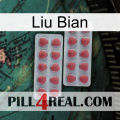 Liu Bian 19